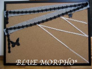 bluemorpho.2011.1.14.4