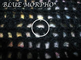 bluemorpho.yarn.2011.1.19.2