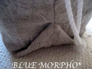 bluemorpho.cl.2011.2.1.3