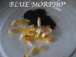 bluemorpho.2011.2.21.1