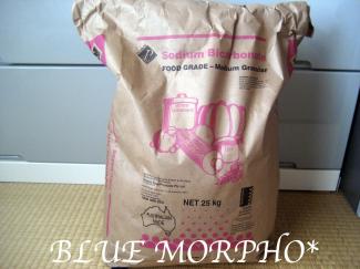 bluemorpho.eco.2011.3.25.3