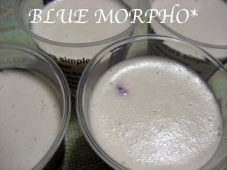 bluemorpho.sweets.2011.3.11