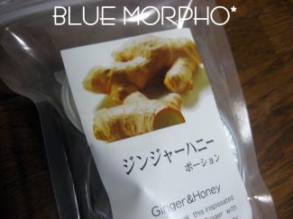 bluemorpho.2011.4.2.1