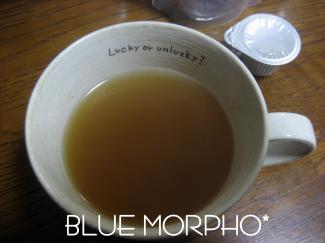 bluemorpho.2011.4.2.3