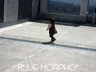 bluemorpho.2011.4.8.2