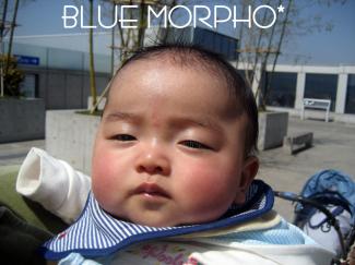 bluemorpho.2011.4.8.3