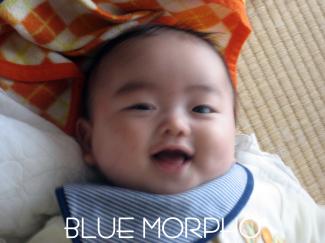 bluemorpho.2011.4.8.4