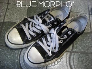 bluemorpho.2011.4.5.2