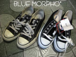 bluemorpho.2011.4.5.3