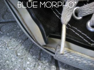 bluemorpho.2011.4.5.4