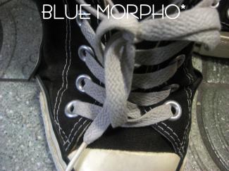 bluemorpho.2011.4.5.5