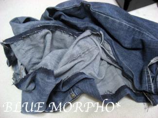 bluemorpho.re.2011.4.19.1