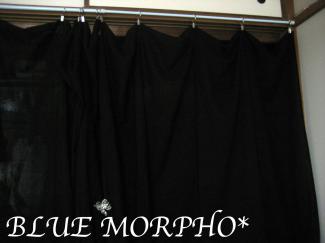 bluemorpho.cl.2011.4.23