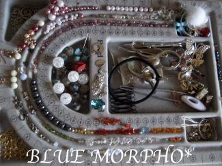 bluemorpho.2011.4.25.2