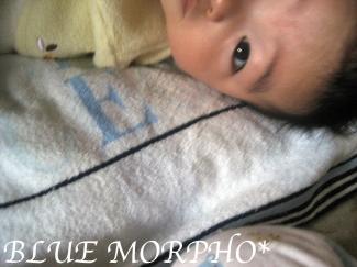 bluemorpho.2011.5.3.3