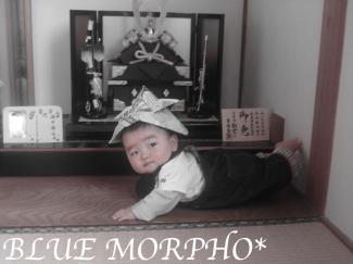 bluemorpho.2011.5.3.2