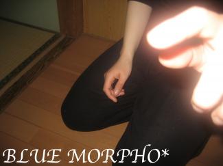 bluemorpho.2011.5.3.1