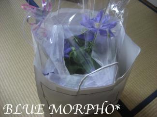 bluemorpho.mothersday.2011.5.8.2