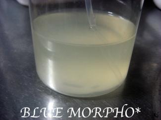 bluemorpho.soap.2011.5.9.1