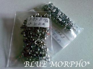 bluemorpho.preparation.2011.1.24.2