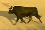 闘牛の突進を華麗に飛び越える神動画